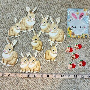 Bunny Bear Apple Strawberries Iron on Patches